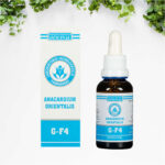 Anacardium Orientalis G-F4