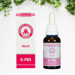 Bellis G-F63