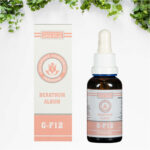 Beratrum Album G-F12