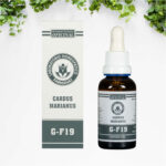 Cardus Marianus G-F19