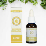 Eupatorium Perfoliatum G-F22