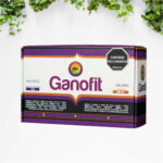 Ganofit 4 Cajas X 24 Sobres