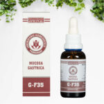 Mucosa Gastrica G-F35