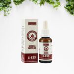 Mucosa Gastrica G-F23