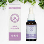 Sabal Serrulata G-F38